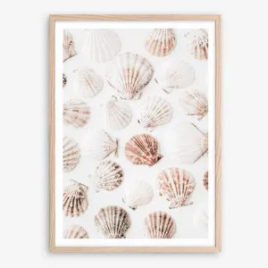 Seashells I Photo Art Print by The Print Emporium, a Prints for sale on Style Sourcebook