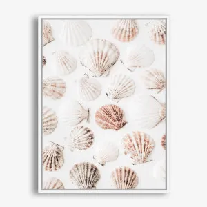 Seashells I Photo Canvas Print by The Print Emporium, a Prints for sale on Style Sourcebook