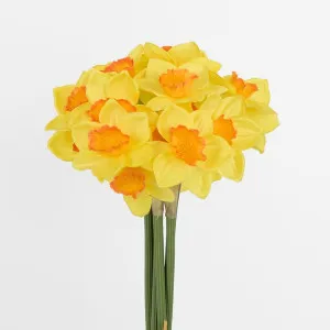 Daffodil Bouquet by JMC FLORALS, a Christmas for sale on Style Sourcebook