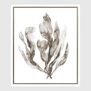 Coastal Botanical B Wall Art 52.5 x 62.5cm by Florabelle Living, a Christmas for sale on Style Sourcebook