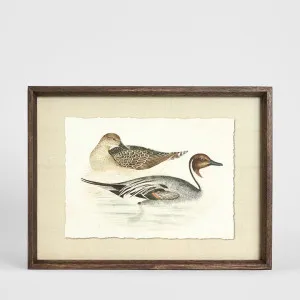 Wetland Pair B Wall Art 40x30cm by Florabelle Living, a Christmas for sale on Style Sourcebook