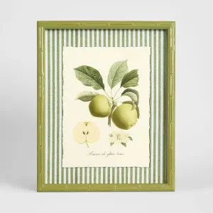 Apple Study 1 Wall Art 34x42cm by Florabelle Living, a Christmas for sale on Style Sourcebook