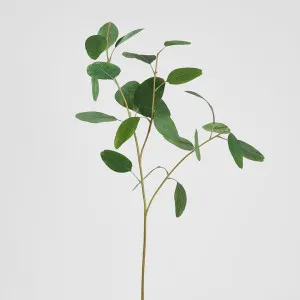Eucalyptus Leaf Spray 87cm Green by Florabelle Living, a Christmas for sale on Style Sourcebook