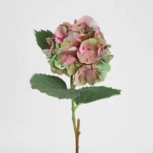Hydrangea Large Stem With Leaves 75cm Light Pink by Florabelle Living, a Christmas for sale on Style Sourcebook