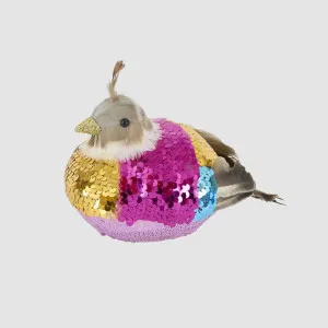 Sequin Quail Gold by Vixen & Velvet, a Plants for sale on Style Sourcebook