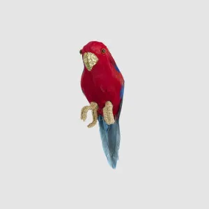 Mini Crimson Rosella Hanging Bird by Vixen & Velvet, a Plants for sale on Style Sourcebook