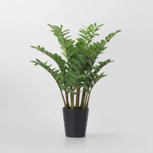 Real Touch Zanzibar 95cm by TREE CREATIONS, a Plants for sale on Style Sourcebook