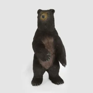 Cocoa Bear Giant by Vixen & Velvet, a Plants for sale on Style Sourcebook