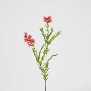 Bottle Brush Spray 84cm Red by Florabelle Living, a Decorative Accessories for sale on Style Sourcebook
