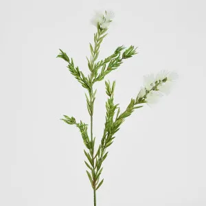 Bottle Brush Spray 84cm White by Florabelle Living, a Decorative Accessories for sale on Style Sourcebook