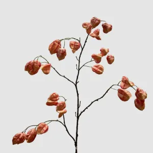 Chinese Lantern Pink 114cm by Florabelle Living, a Decorative Accessories for sale on Style Sourcebook