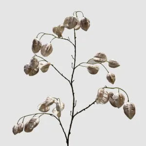 Chinese Lantern White 114cm by Florabelle Living, a Decorative Accessories for sale on Style Sourcebook