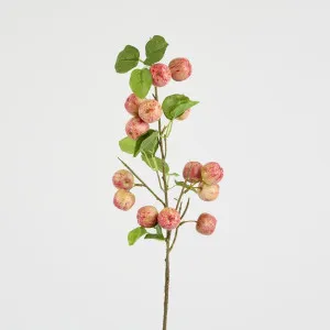 Wild Crab Apple Stem Red by Florabelle Living, a Decorative Accessories for sale on Style Sourcebook