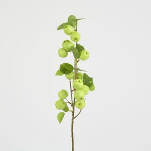 Wild Crab Apple Stem Green by Florabelle Living, a Decorative Accessories for sale on Style Sourcebook