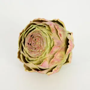 Cut Artichoke Purple by Florabelle Living, a Decorative Accessories for sale on Style Sourcebook
