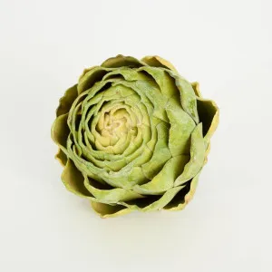 Cut Artichoke Green by Florabelle Living, a Decorative Accessories for sale on Style Sourcebook