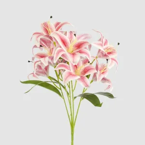 Casablanca Lily Bunch Pink by JMC FLORALS, a Decorative Accessories for sale on Style Sourcebook