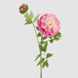 Leafy Peony Flower Stem Fuchsia by JMC FLORALS, a Decorative Accessories for sale on Style Sourcebook
