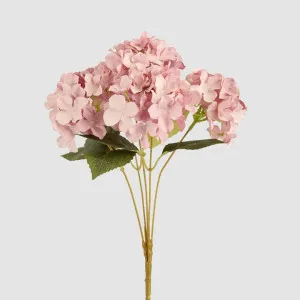 Hydrangea Bunch With 5 Heads Pink by JMC FLORALS, a Plants for sale on Style Sourcebook