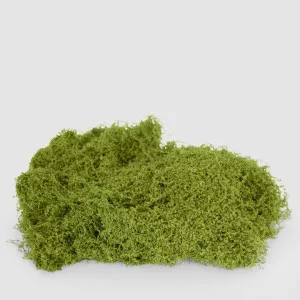 Bagged Moss by Florabelle Living, a Plants for sale on Style Sourcebook