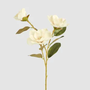 Gloriosa Magnolia Floral Spray Light Brown by Florabelle Living, a Plants for sale on Style Sourcebook