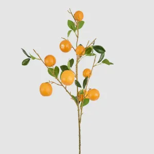 Orange Fruit Stem by Florabelle Living, a Plants for sale on Style Sourcebook