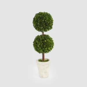 Preserved Boxwood Double Ball Topiary by Vixen & Velvet, a Christmas for sale on Style Sourcebook