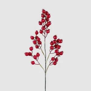 Glossy Red Berry Spray by Vixen & Velvet, a Plants for sale on Style Sourcebook