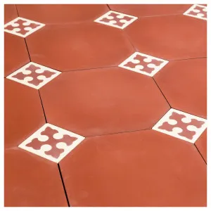 Artannes Octagonal Encaustic Tile, Terracotta by Schots, a Encaustic Tiles for sale on Style Sourcebook