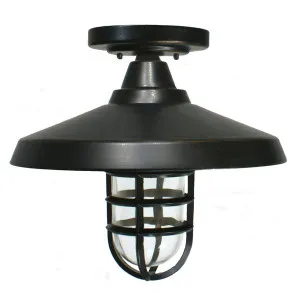 Deckhouse Outdoor Under Eave, Antique Bronze by Lighting Inspirations, a Fixed Lights for sale on Style Sourcebook