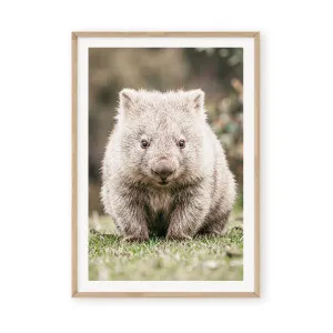 Natural Wombat by Boho Art & Styling, a Original Artwork for sale on Style Sourcebook