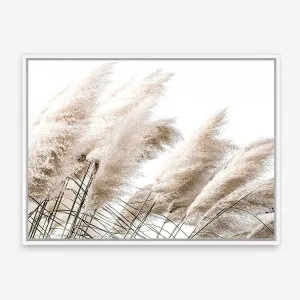 Pampas Photo Canvas Print by The Print Emporium, a Prints for sale on Style Sourcebook