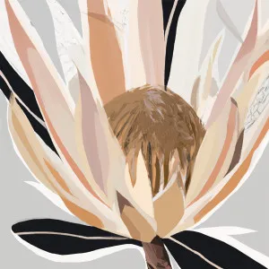 Crema Grey Protea by Gioia Wall Art, a Prints for sale on Style Sourcebook