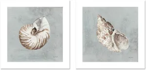 Sand And Seashells, Style A & B, Set Of 2 by Gioia Wall Art, a Prints for sale on Style Sourcebook