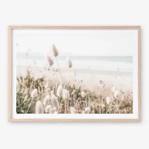 Coastal Grass Photo Art Print by The Print Emporium, a Prints for sale on Style Sourcebook