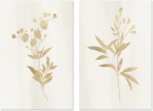 Golden Botanical, Style C & D, Set of 2 by Gioia Wall Art, a Prints for sale on Style Sourcebook