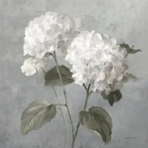 White Hydrangeas by Gioia Wall Art, a Prints for sale on Style Sourcebook