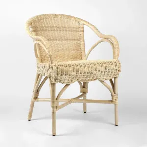 Belle Rattan Armchair Natural by Florabelle Living, a Chairs for sale on Style Sourcebook