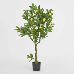 Artificial Lemon Tree Real Touch 120cm by Florabelle Living, a Plants for sale on Style Sourcebook