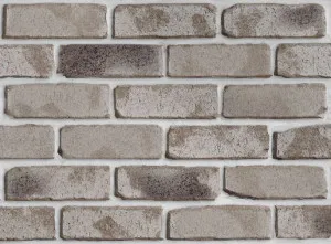 Sea Fossil by PGH, a Bricks for sale on Style Sourcebook