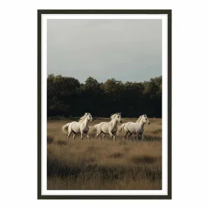 White Herd Framed Print in 73 x 103cm by OZ Design, a Prints for sale on Style Sourcebook