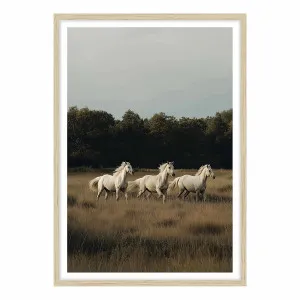 White Herd Framed Print in 118 x 165cm by OZ Design, a Prints for sale on Style Sourcebook
