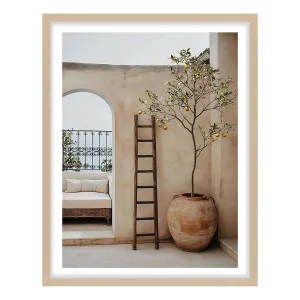 Arches & Citrus Framed Print in 73 x 103cm by OZ Design, a Prints for sale on Style Sourcebook