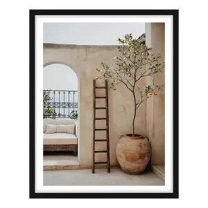 Arches & Citrus Framed Print in 118 x 165cm by OZ Design, a Prints for sale on Style Sourcebook