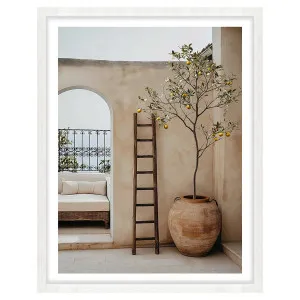 Arches & Citrus Framed Print in 84 x 118cm by OZ Design, a Prints for sale on Style Sourcebook