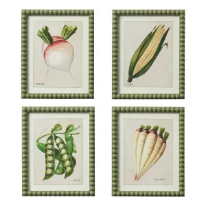 Crisp Framed Print Set of 4 in 24.5 x 30cm by OZ Design, a Prints for sale on Style Sourcebook