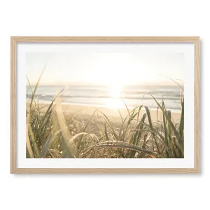 Beach Grass Sunset Framed Art Print by Profile Australia, a Prints for sale on Style Sourcebook