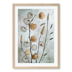Lanterns Framed Art Print by Mandy Disher by Profile Australia, a Prints for sale on Style Sourcebook