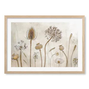 Growing Old Framed Art Print by Mandy Disher by Profile Australia, a Prints for sale on Style Sourcebook