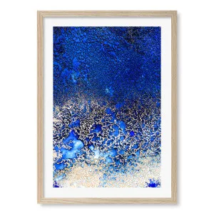 Sunlit Reef 2 Framed Art Print by Petra Meikle by Profile Australia, a Prints for sale on Style Sourcebook